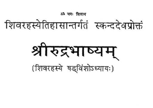 Sri Rudram PDF In Hindi