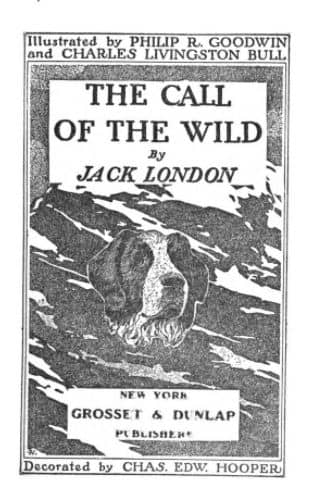 into the wild book pdf