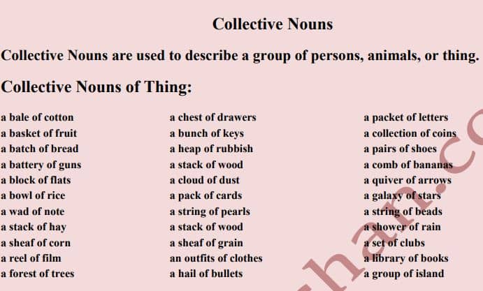 PDF] 100+ Collective Nouns List PDF For Exam - Panot Book