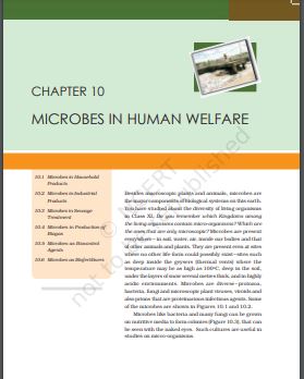 Microbes in Human Welfare Solutions