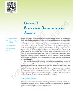 Structural Organization in Animals