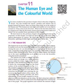 The Human Eye and Colorful World