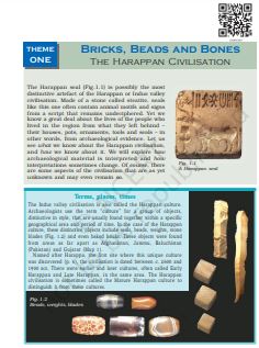 Bricks Beads And Bones The Harappan Civilisation