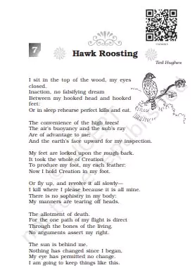 hawk-roosting