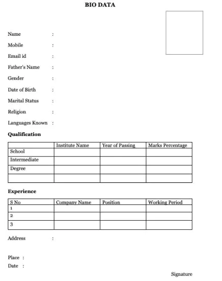 bio-data-format for job