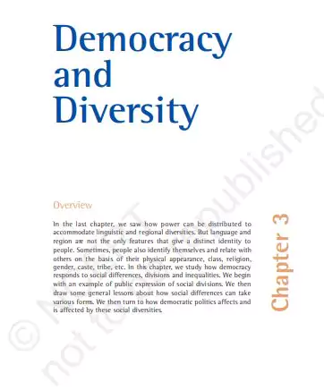 democracy-and-diversity