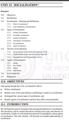 what-is-socialization-pdf