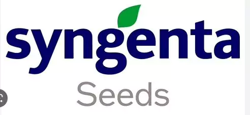 syngenta-seeds-price-list