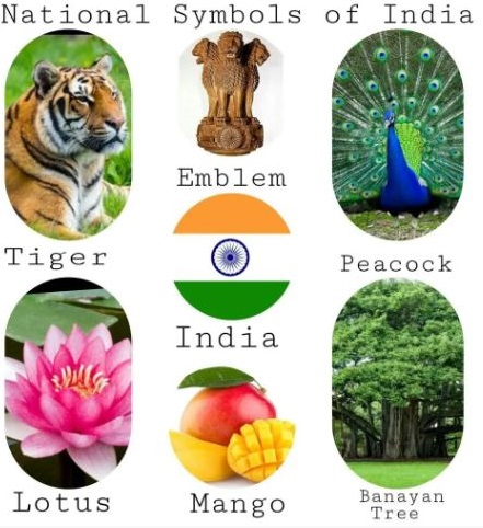 PDF] List Of National Symbols Of India PDF - Panot Book