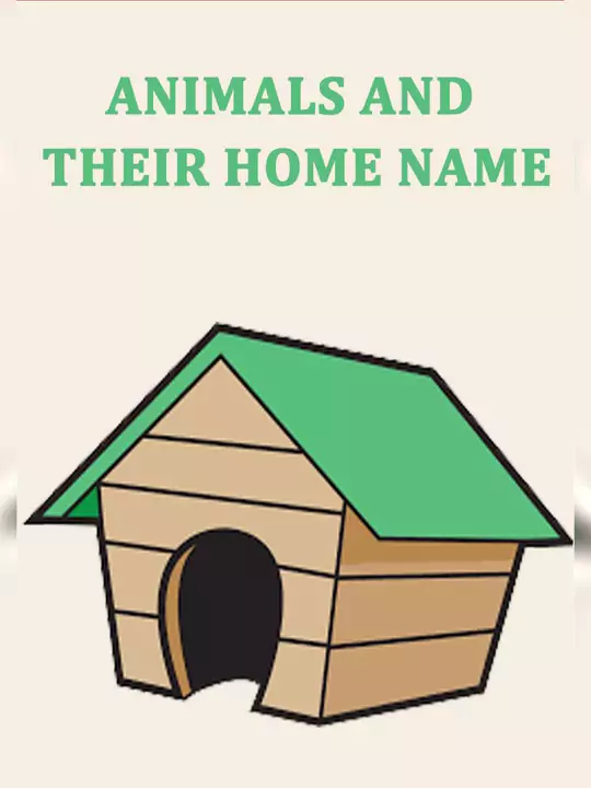  PDF Animal And Their Homes Name List PDF Panot Book