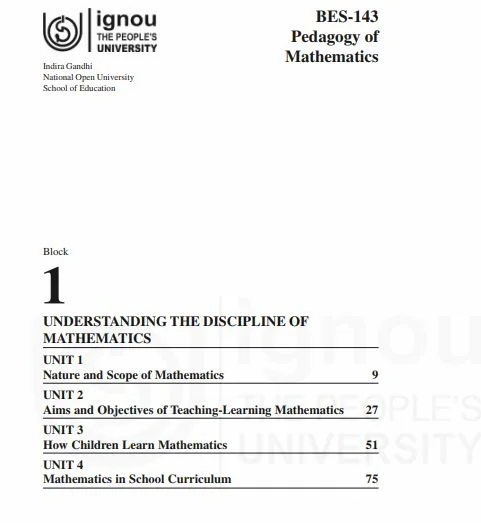 Mathematics Pedagogy