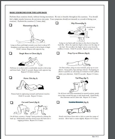 Low Back Pain Exercises